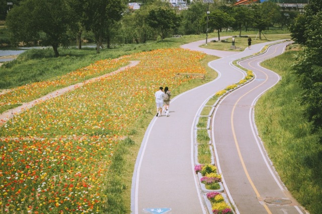 1.오산시,_오산천_따라_시민과_함께하는_자연_나들이-2.jpg